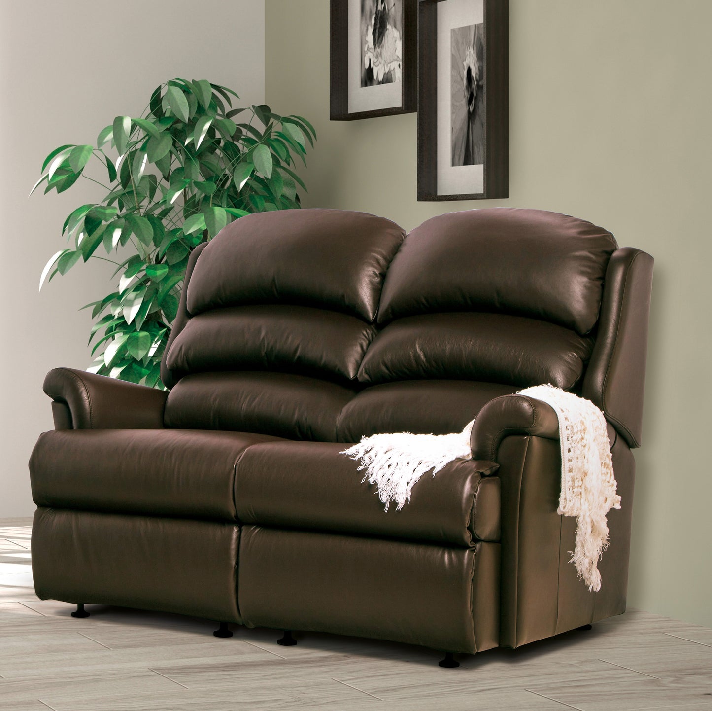 Brown leather sofa with a white blanket in a room with a plant and framed pictures.