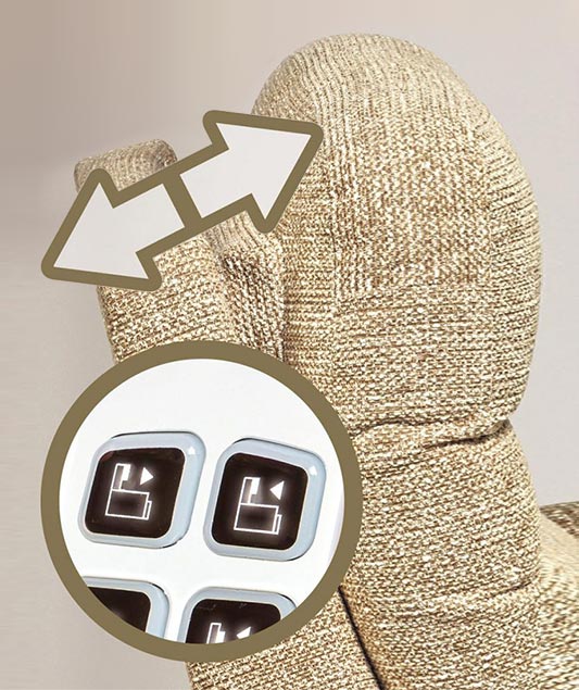 Headrest & Lumbar Adjustment